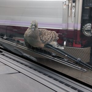 IMG_20200831_063000 (1)