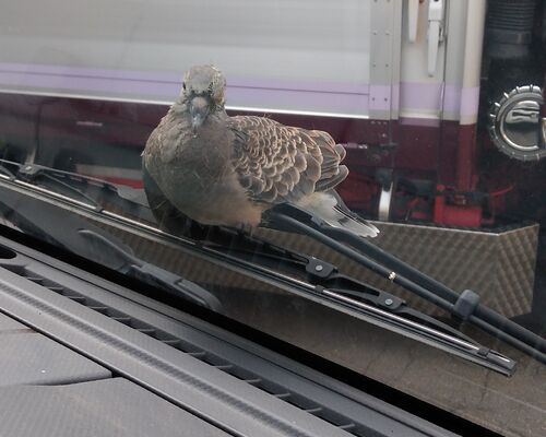 IMG_20200831_063000 (1)